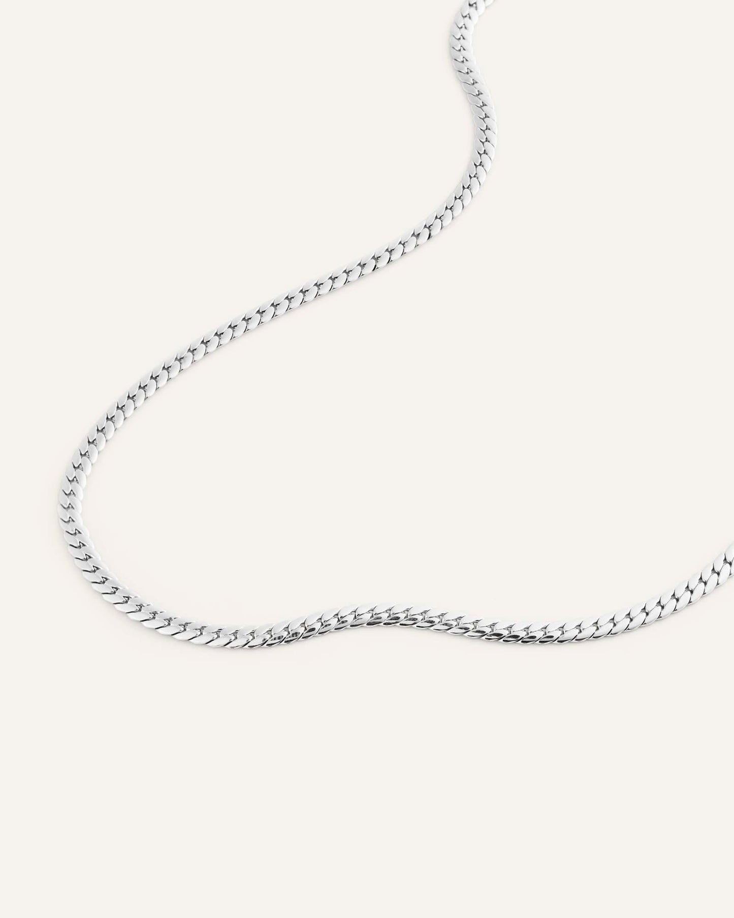 Serpentine Chain Steel Small Necklace